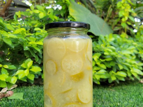 2025/01/1000601954-scaled.jpg citron confit salée ou Nature