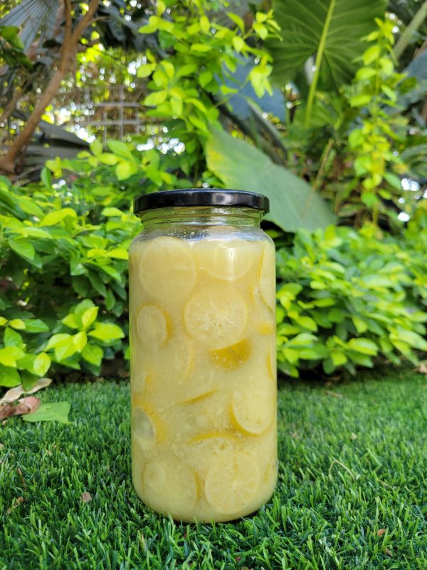 2025/01/1000601954-scaled.jpg citron confit salée ou Nature